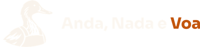 Anda, Nada e Voa